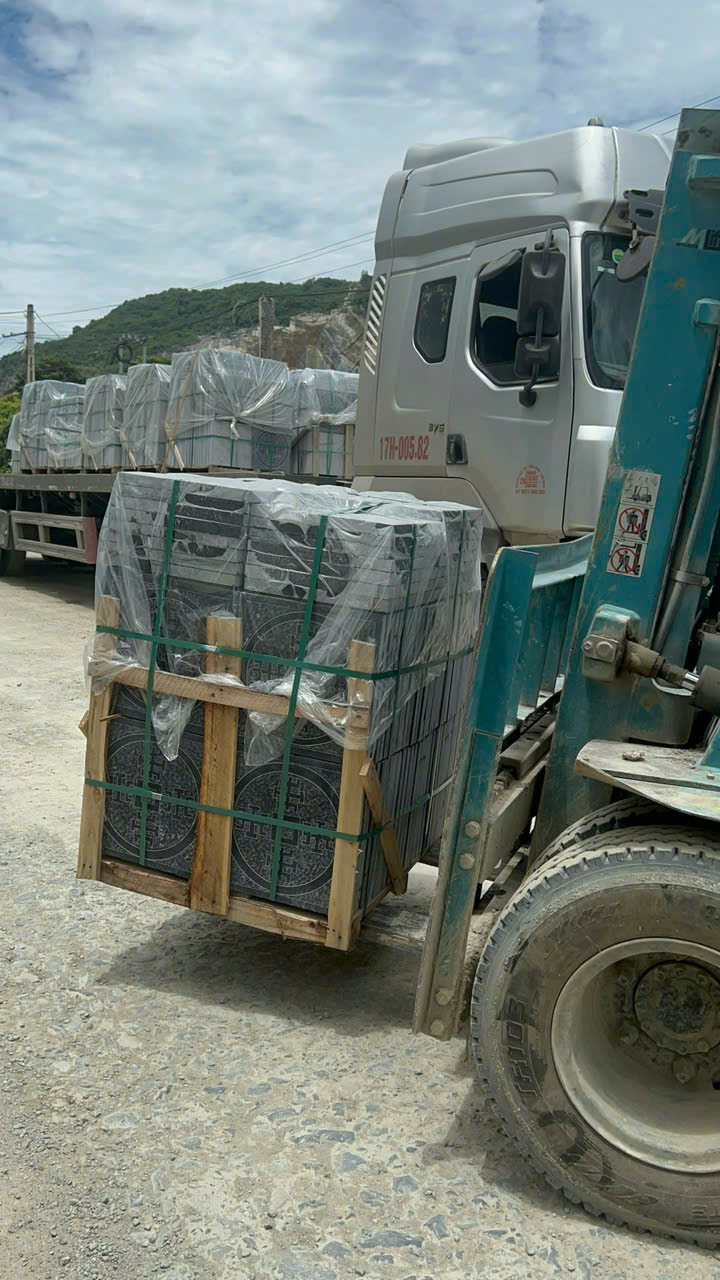 xanh đen đồng xu được vận chuyển đến 18 nam định
