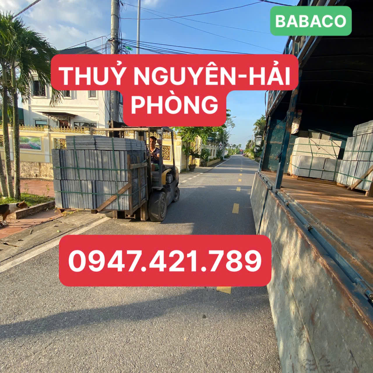 Đá Xanh Đen Hoa Văn Sen 8 Cánh 16 Thủy Nguyên – Hải Phòng