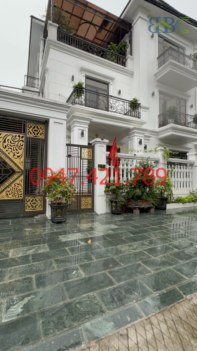 Đá xanh rêu Thanh Hóa loại 1 cao cấp: Lựa Chọn Vàng Cho Biệt Thự 