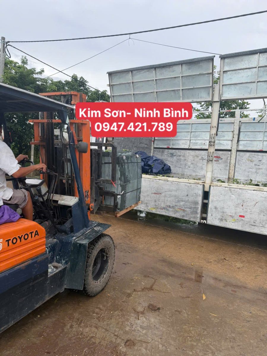 Hành Trình "Cõng" Đá Xanh Rêu Về Kim Sơn, Ninh Bình: Những Điều Cần Lưu Ý