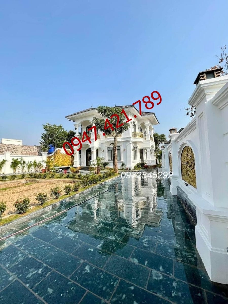 Đá xanh rêu Thanh Hóa: Lựa chọn tối ưu cho sân vườn
